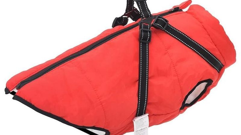 冷水机流量扬程：揭秘十大品牌背后的选型逻辑