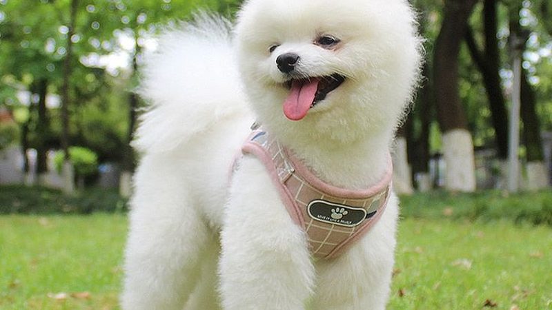 工业冷却塔品牌代理推荐：揭秘如何选择优质合作伙伴